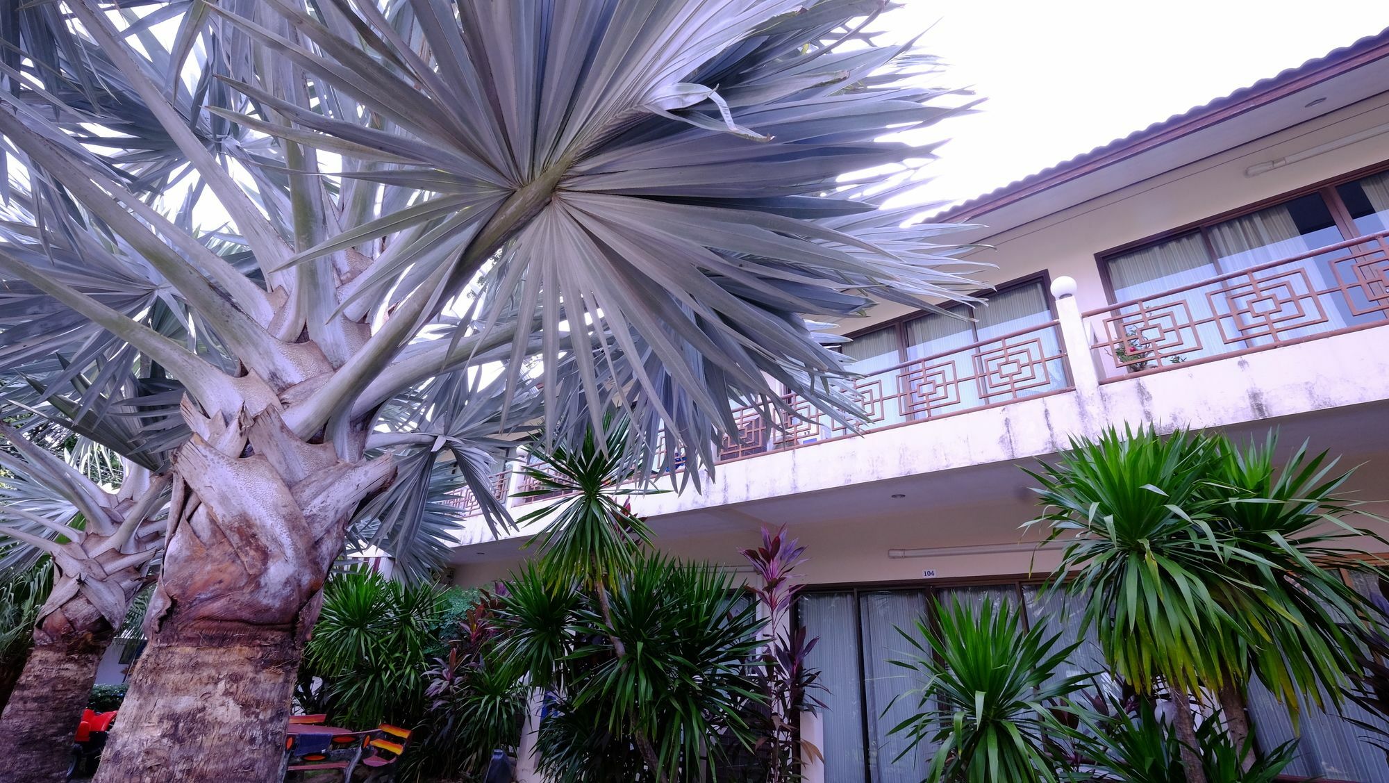 Samui Guest House Lamai Beach  Exterior foto