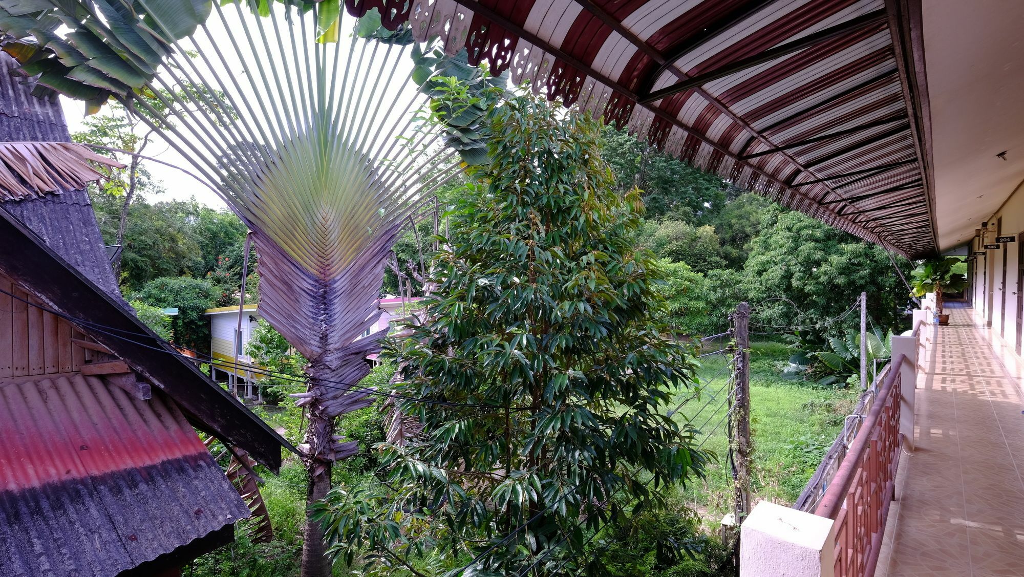 Samui Guest House Lamai Beach  Exterior foto
